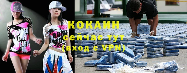 гидропоника Горняк